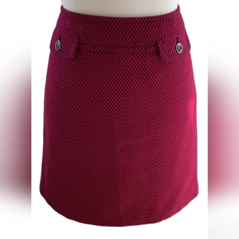 ANNE Taylor Loft skirt size 10